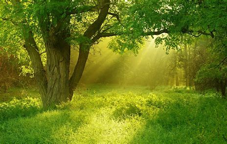 云计算的未来趋势与应用场景